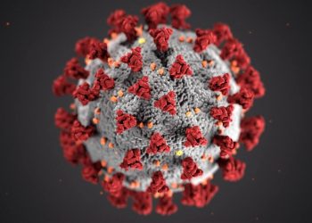 Corona Virus helfen Luftfilter beim Filtern des COVID-19 Erregers?